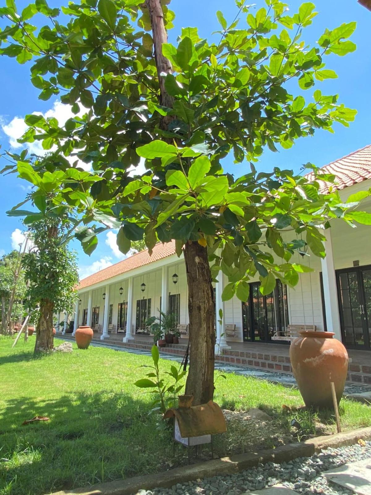 Pasir Putih Resort & Resto Maluk エクステリア 写真